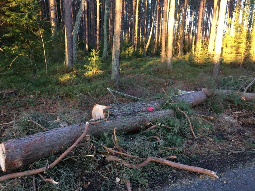 EB1854B8-8012-41BF-AC91-35BA2E5E6A63