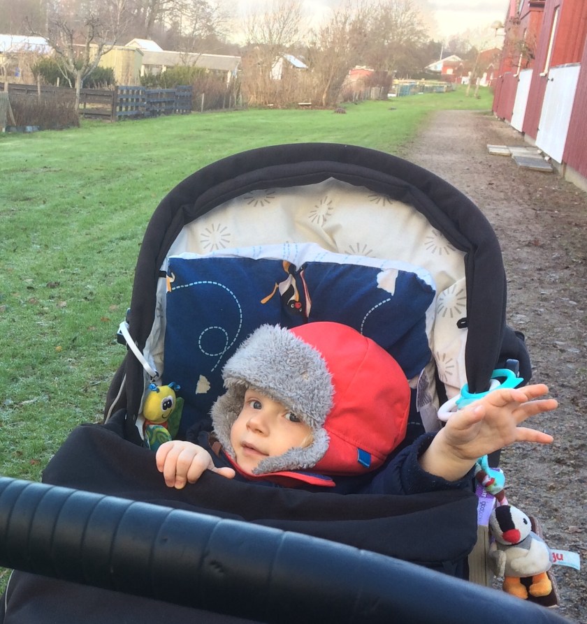 56EA2913-FF78-4A41-B777-B215F47A83AB