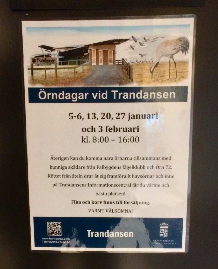 D156E2FE-34A4-4586-9F3D-B2CCE5482974