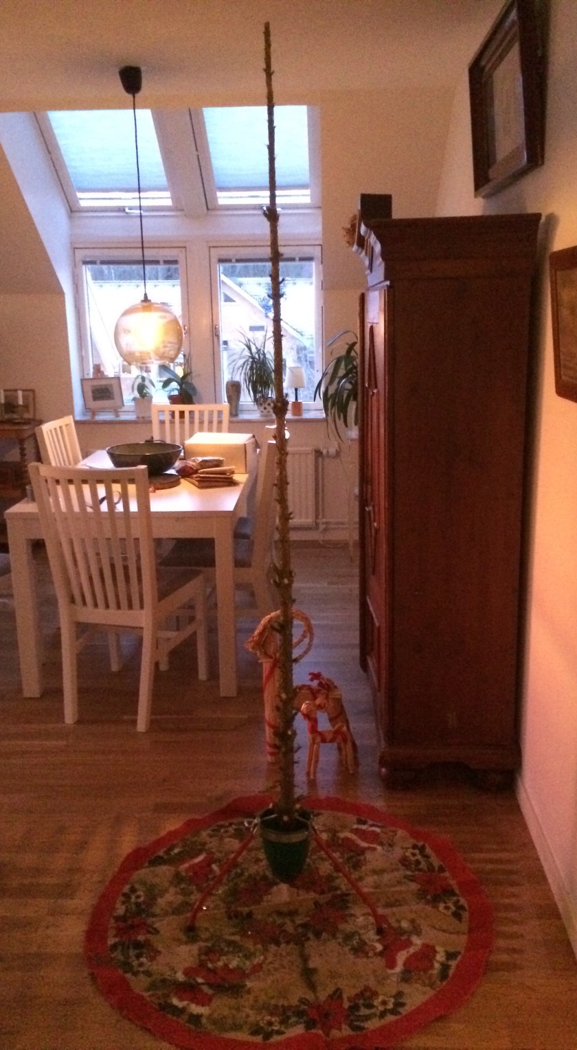 2ea6ab55-e95d-41ba-b4e9-f2afd44f3afd