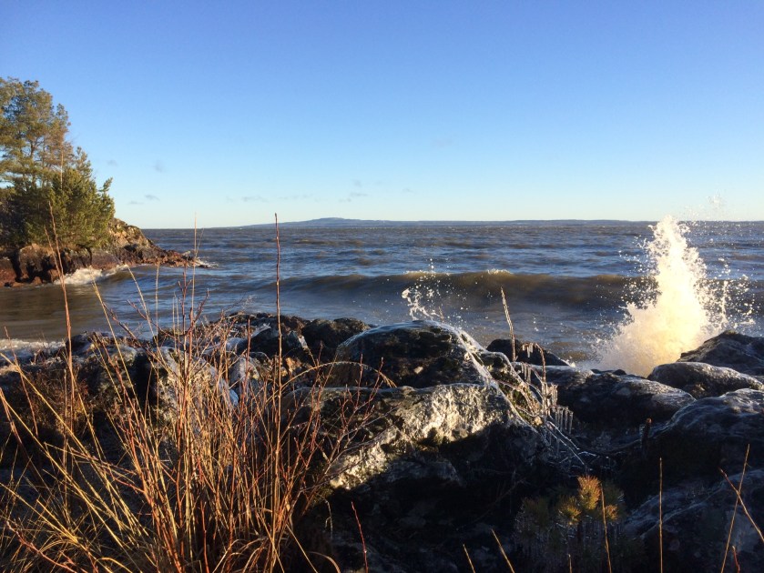 3929feb2-bf1b-49e0-a40a-fcb253b38d92