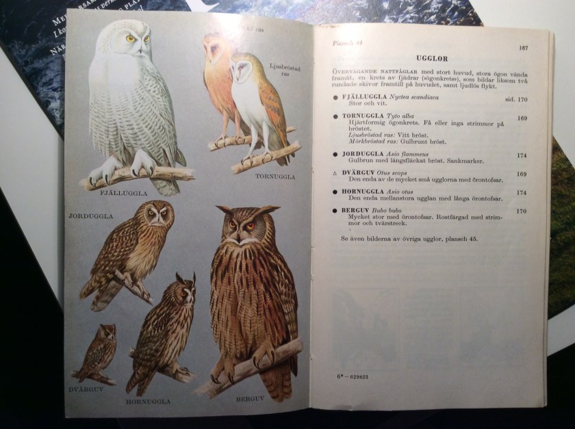 40b5541c-2b2c-4e8e-b55b-0267a7d3c0aa