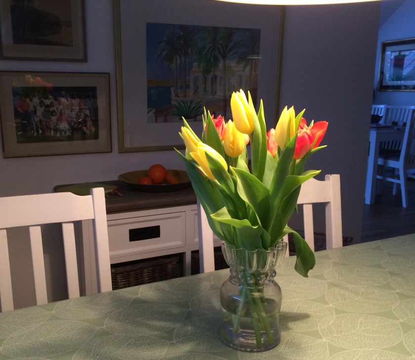 40d77a69-7cfb-4821-9eaf-05e5bd83544f