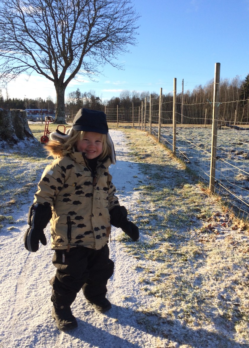 44e8e39b-4170-4710-a569-da2afd8e1115