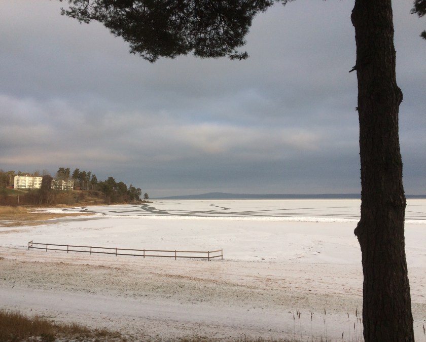 6ab1f832-e8b4-48f8-b13f-c6438511afa6