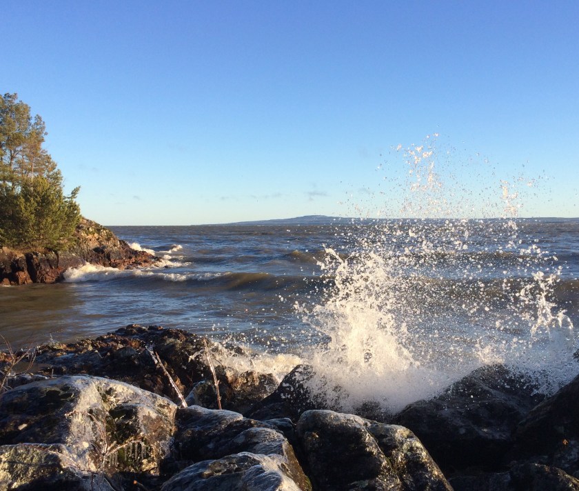 b676e44b-c648-4497-a1f4-680270d3ba5f