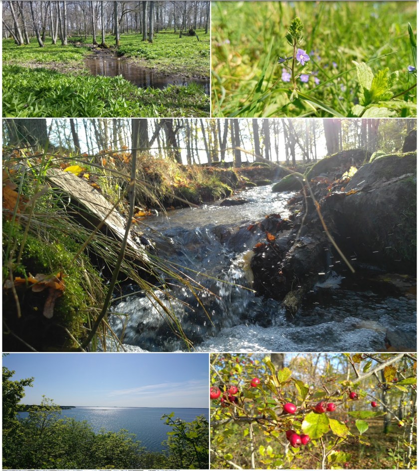 b77b4719-e2e3-4c91-b3b6-a14c71ba1bc2