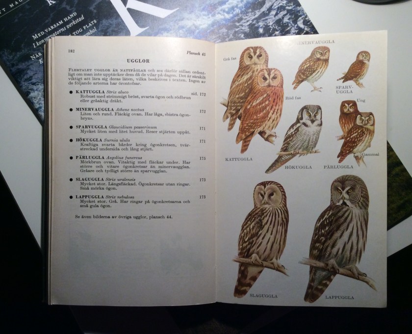 db6c770a-1048-4eab-a1f2-55349c27adeb