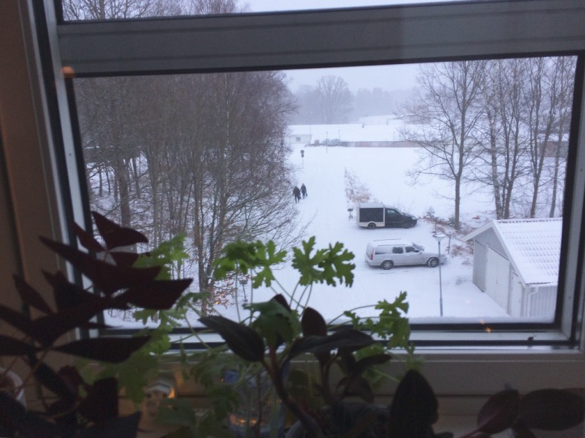 dfc061e5-549e-40dc-82ab-d26374710de8