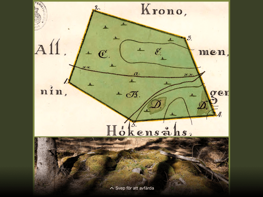 33DAFDD6-BB1E-41D8-93E2-F81720B499B0