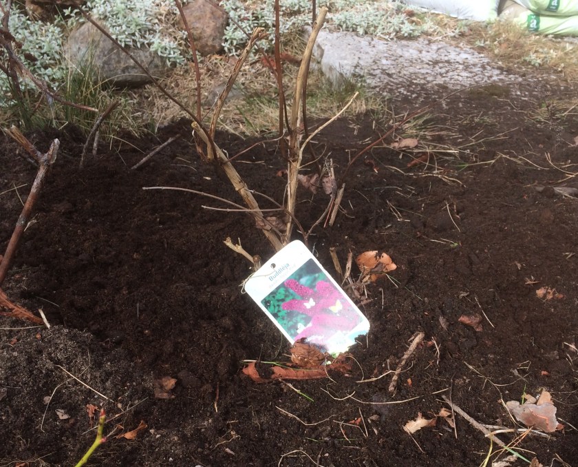 38A9787D-4715-4FFF-9F87-135C37C911E6