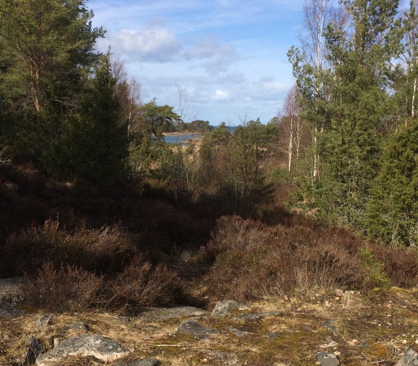 39FCA6CE-0591-4B1D-9963-54276B7D877E