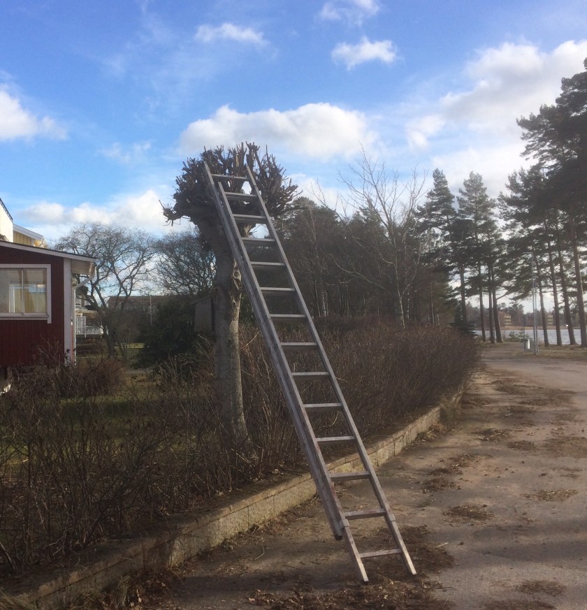 6D3A8D99-224E-4493-9F3E-FFEA34EED2F3