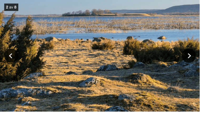 88D2D073-6DA8-4460-96BE-88FBB6E83757