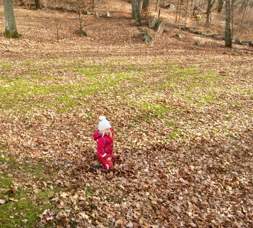 9A413AA7-054D-49FA-8A98-EC6251B730DB