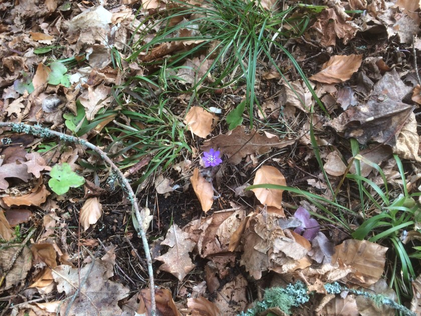 9F22E7EA-AA89-45BB-AEBA-D4FCB6A86A2A