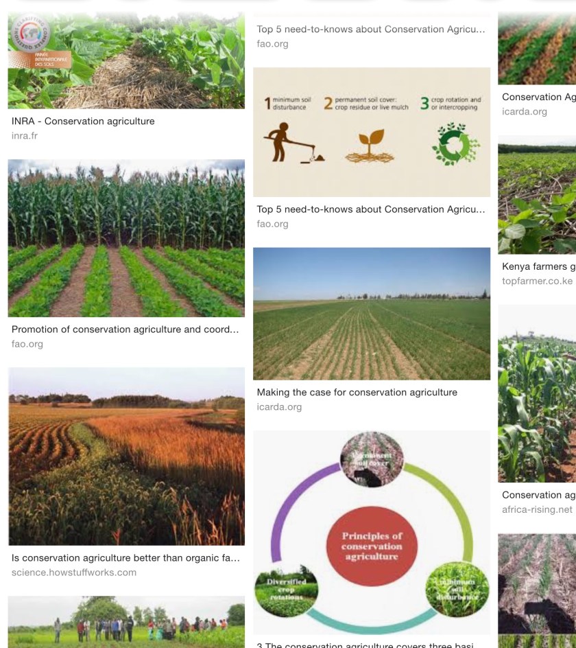 A31EB217-1E26-4FA5-9B7A-26906C964B3C