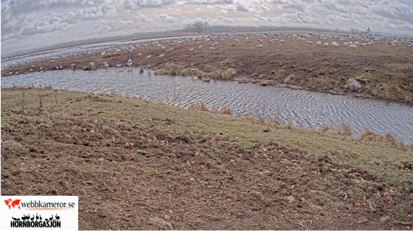 A9C54E96-8B20-4FB5-A5BE-39FAC7B27E9A