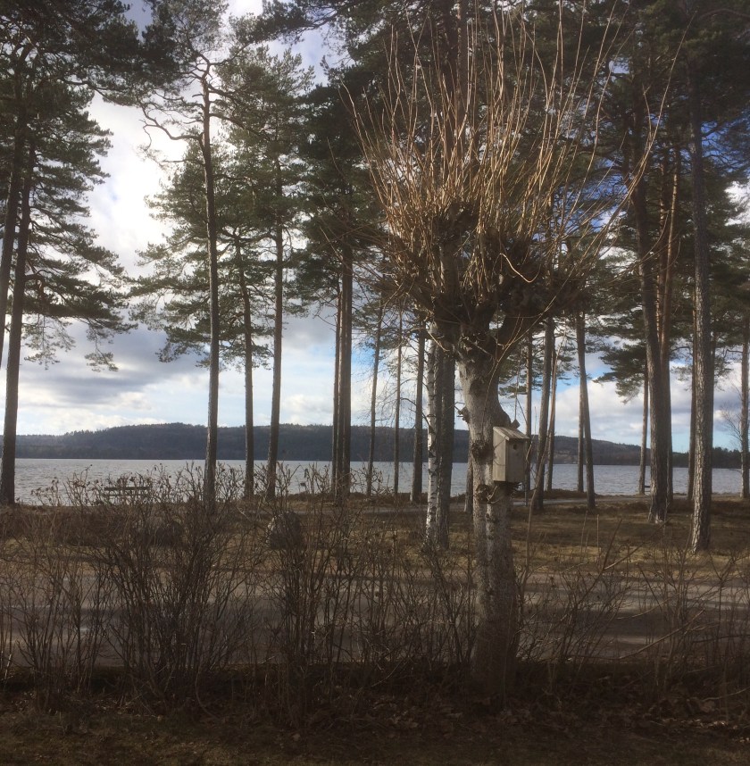 B1D40C80-1675-4283-B14F-06190AB564CE