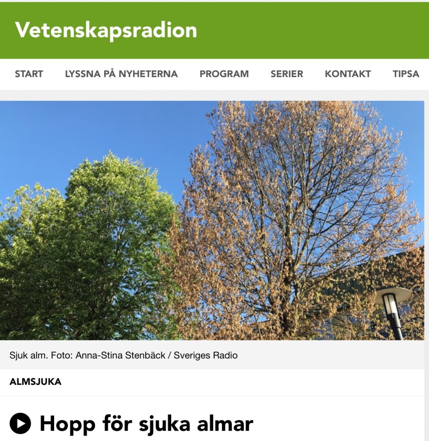 BBD0C5E7-3C78-41AB-9630-7C893D4AB434