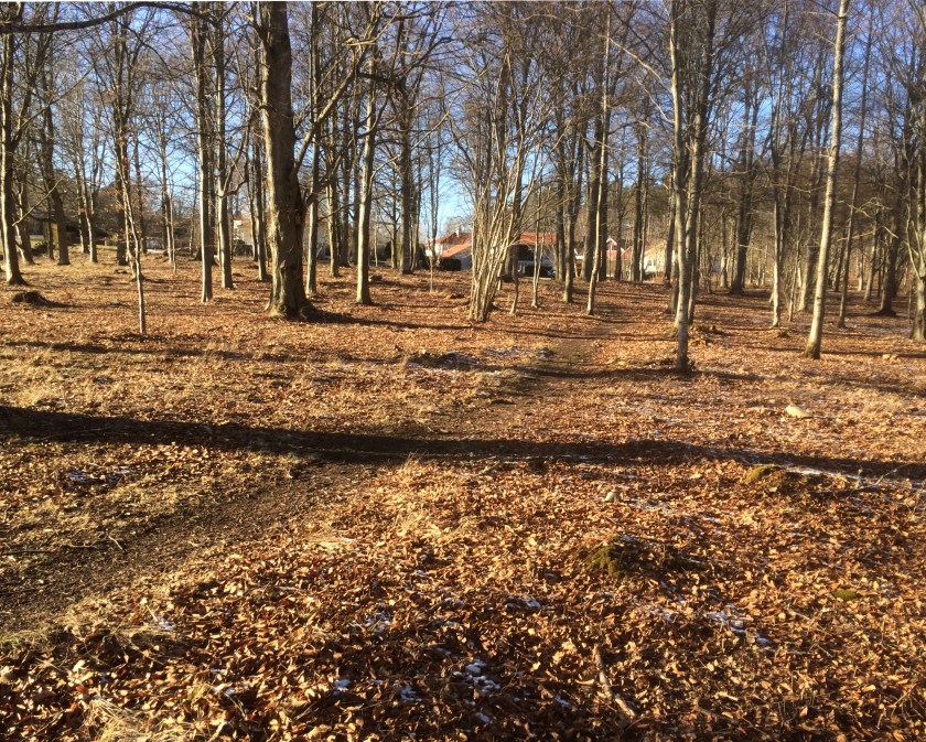 D1ED7375-EA43-4108-A2B3-12E41B689623