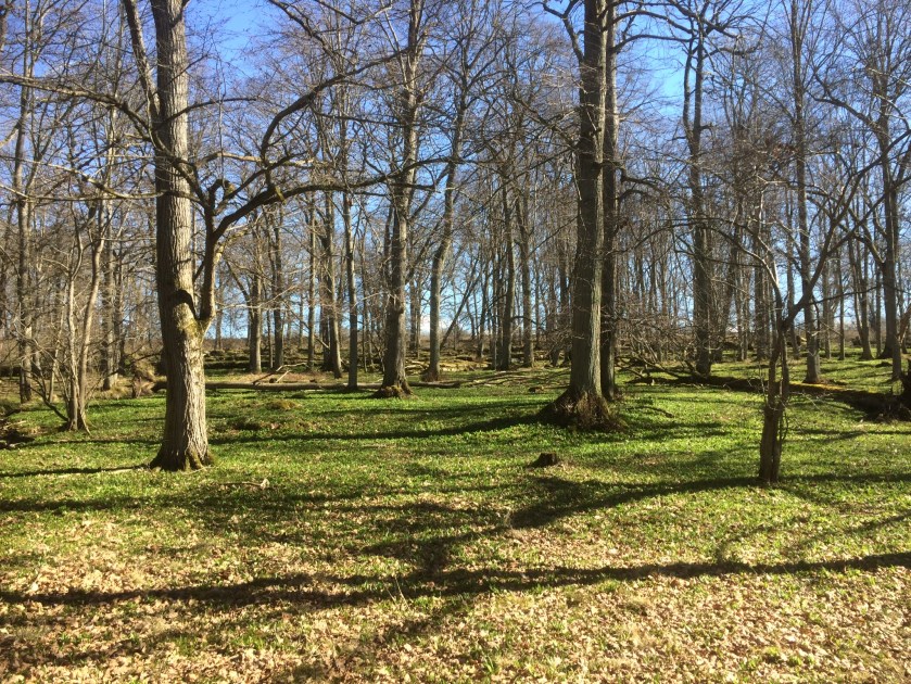 D2475421-368A-43AC-8D8A-54B14130CBF9