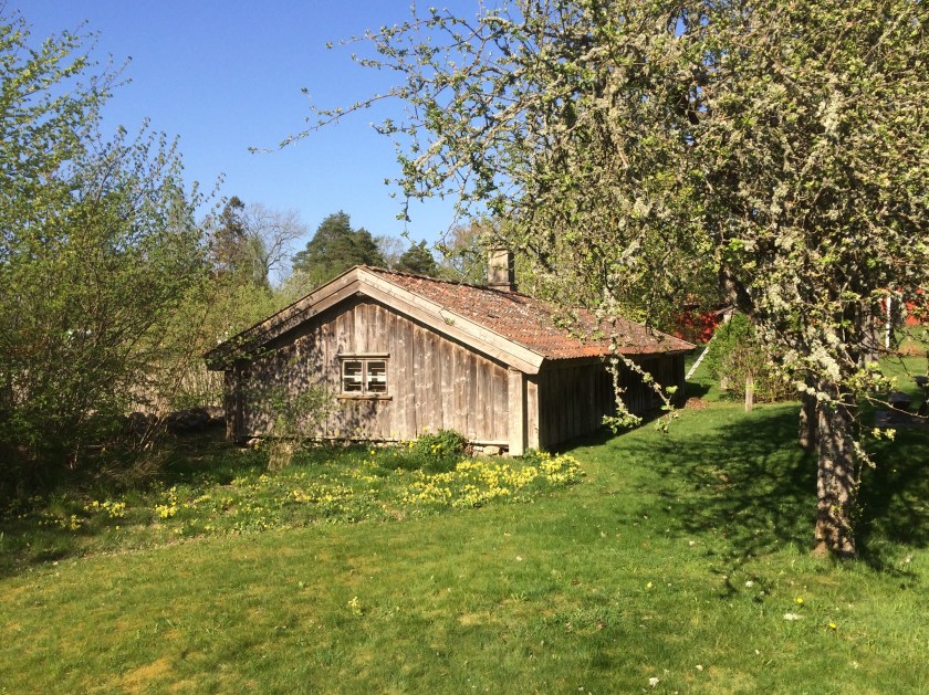 26DD26B0-9507-45B9-AB37-2B0E0EC6E402