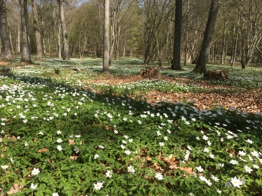 2A90B52F-DE97-4817-A696-7A7729355408