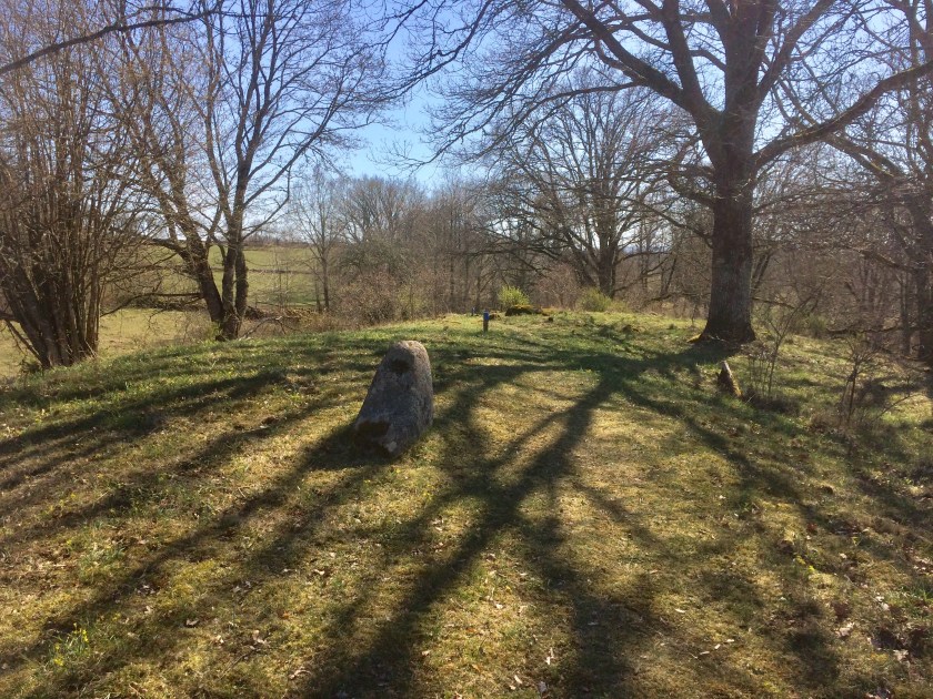 4FBFE774-2067-4C69-9E5F-2289DAA2CF7F