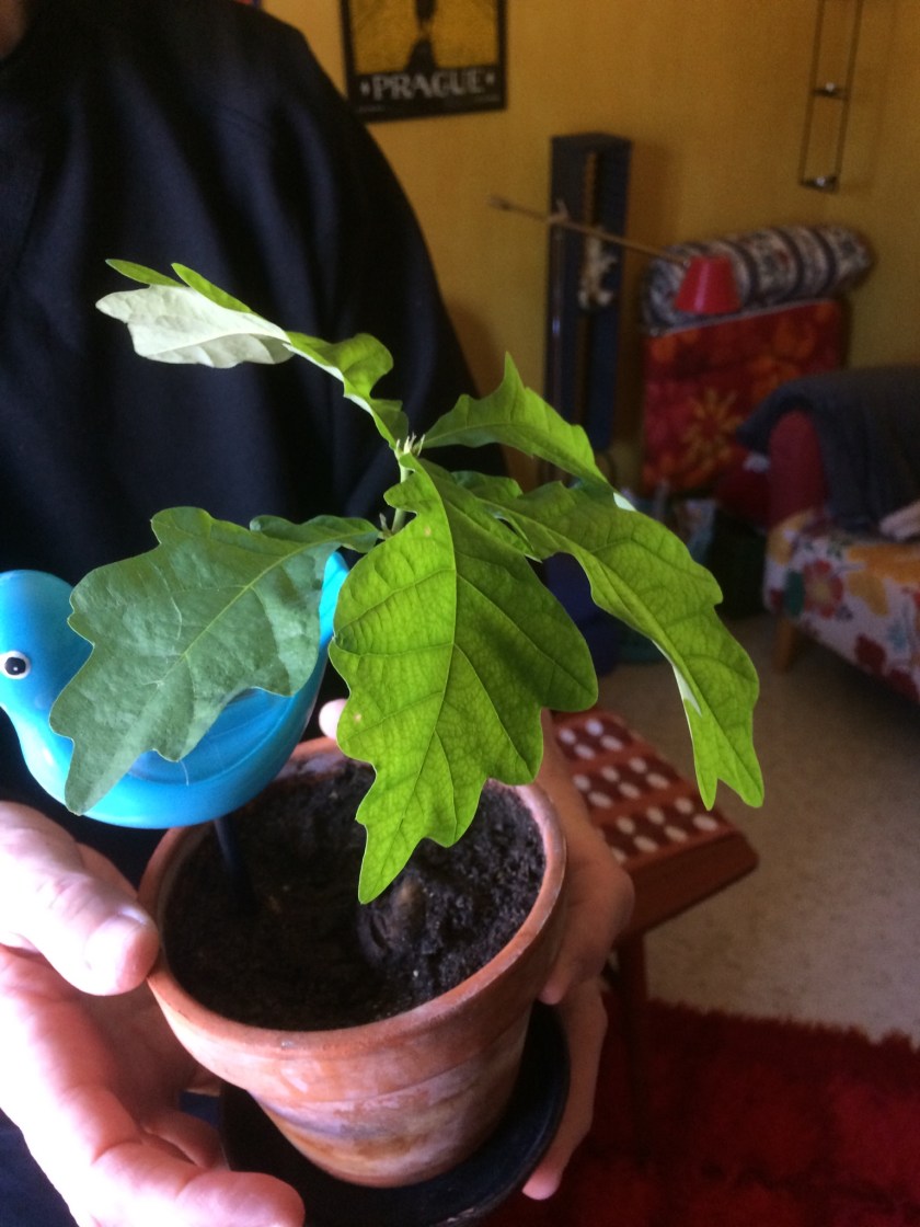 6172CE52-F0F9-4016-A3DF-D799DD601E01