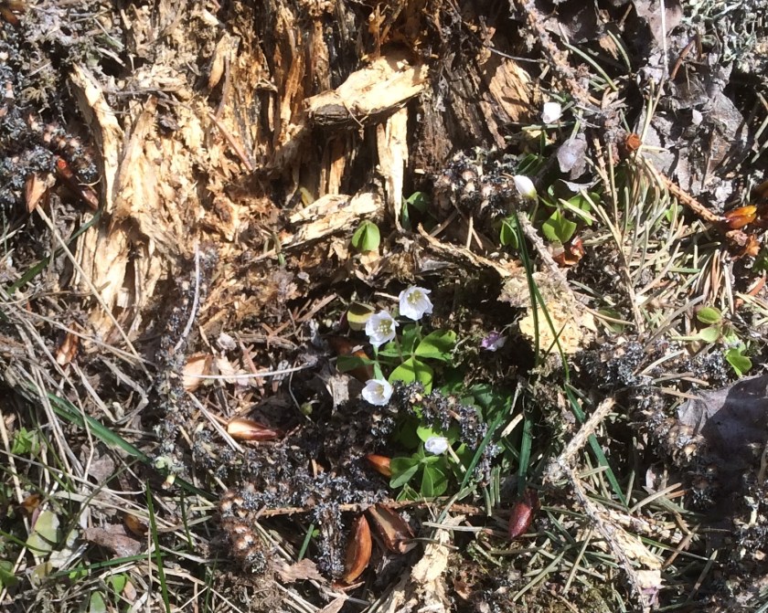 66BD9788-930C-45EF-A038-5264A138EB12