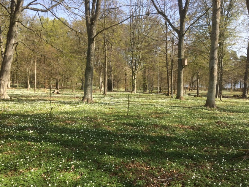 6871916C-6C20-4CDE-A18B-7DD21E565082