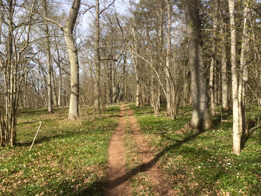 6D109927-F8C5-40CD-8957-2FF3F241C2BC