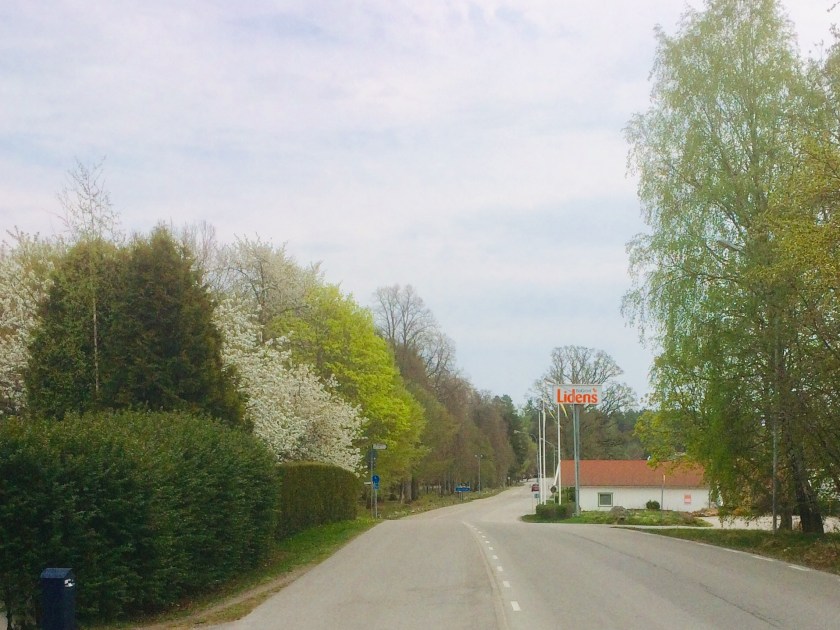 8FA885CF-F62B-4AE8-B89B-2C307B5822C4