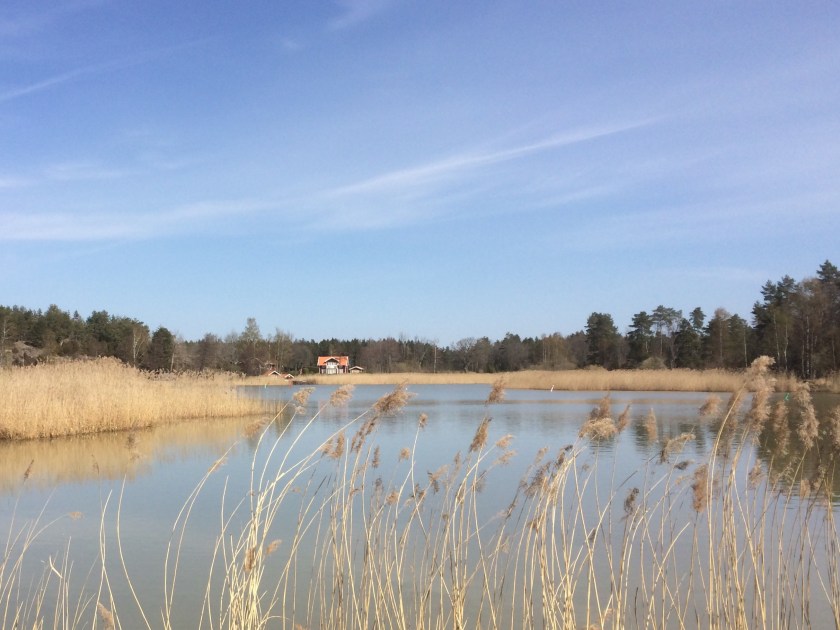 A70CC07D-374C-4245-9AEA-148B154FF0E0