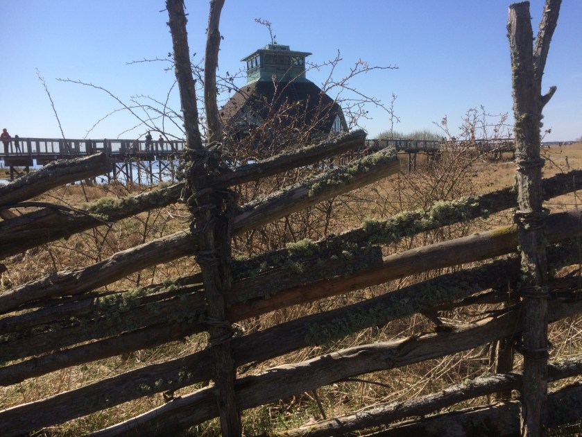 AF592DF6-4326-4E74-93FE-4A3B02B25E58