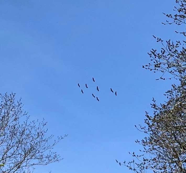 B89822BA-F61A-4DEE-B09D-8C560F53B52C