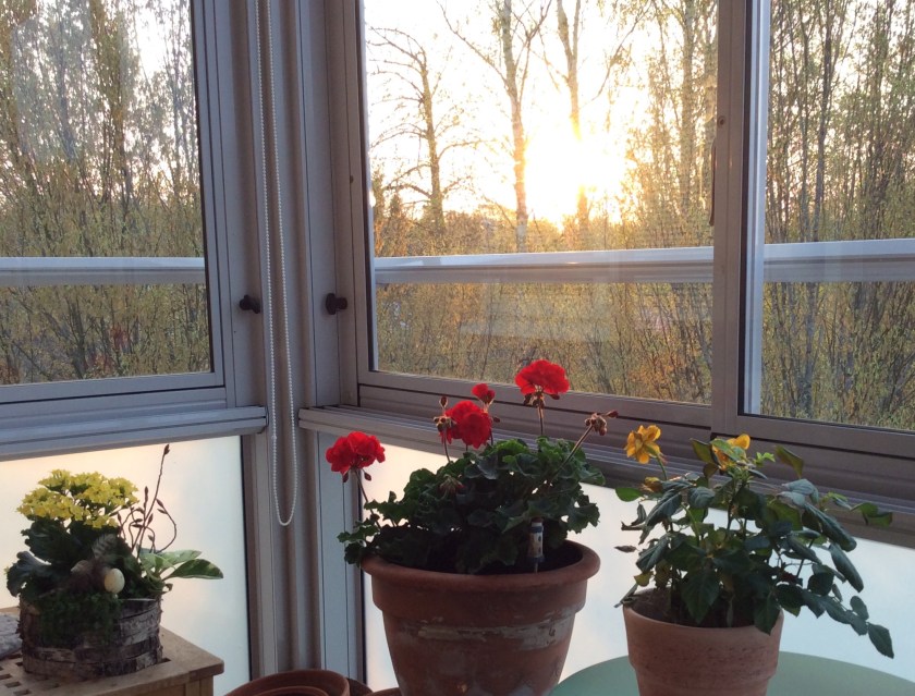 F8CE9316-7028-4257-B53E-4E000301E22E