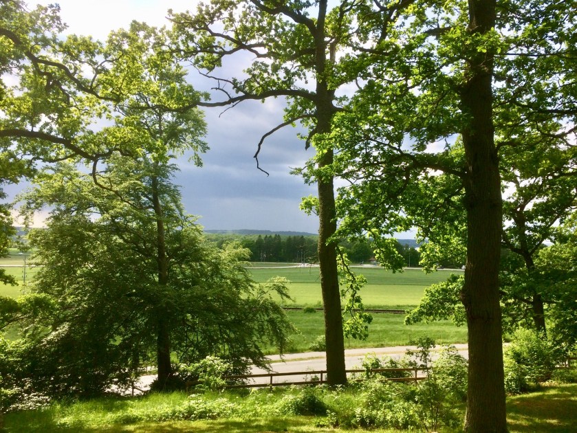 06DAD616-B4F4-4E18-9E3D-17D6F9CCF60B