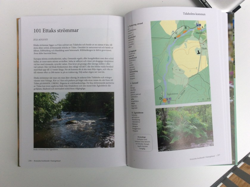 211792D7-8514-488D-A4CB-9EF2480A5031