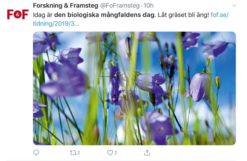 2AB1A5C1-16A1-4943-96FC-CCC36E1E4DA3