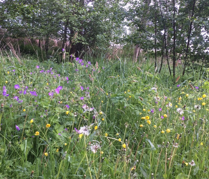 565A3D54-879A-4A72-985E-9FD423286427