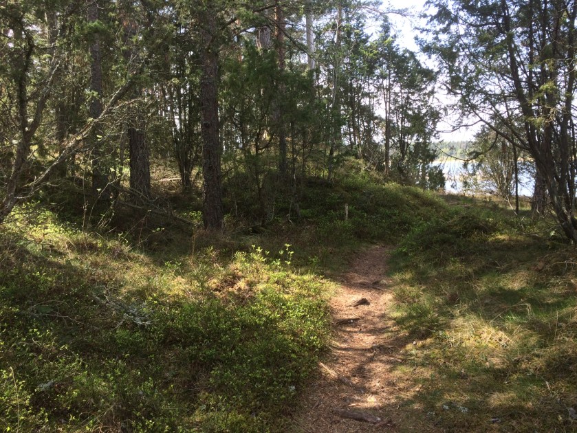 87E9BD5C-AF4E-4D59-B4D8-EFD2BA0AF005