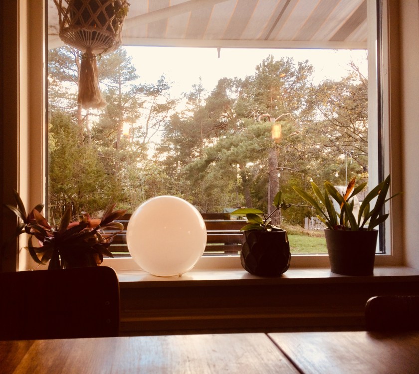 97495183-17E7-4908-A97F-21DF2CA71AB3