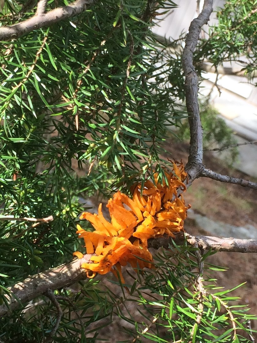 A3581F0D-ECC2-4B0A-ABD0-F800CB673D5F