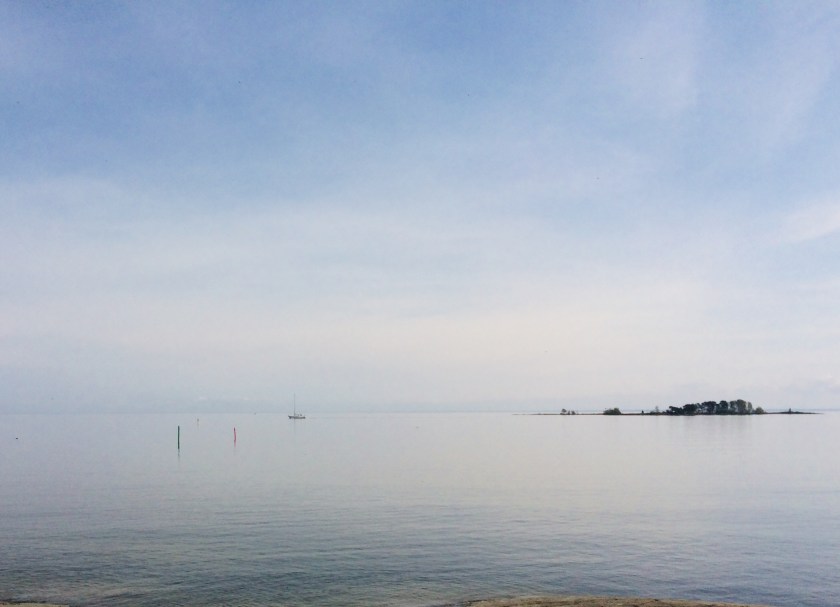 AB1EA8D5-11CF-4164-B6E0-16E74B1108BB