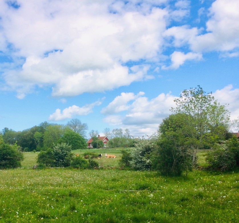 BD6208D1-13A9-4239-8D8C-7AA454C6BBB7