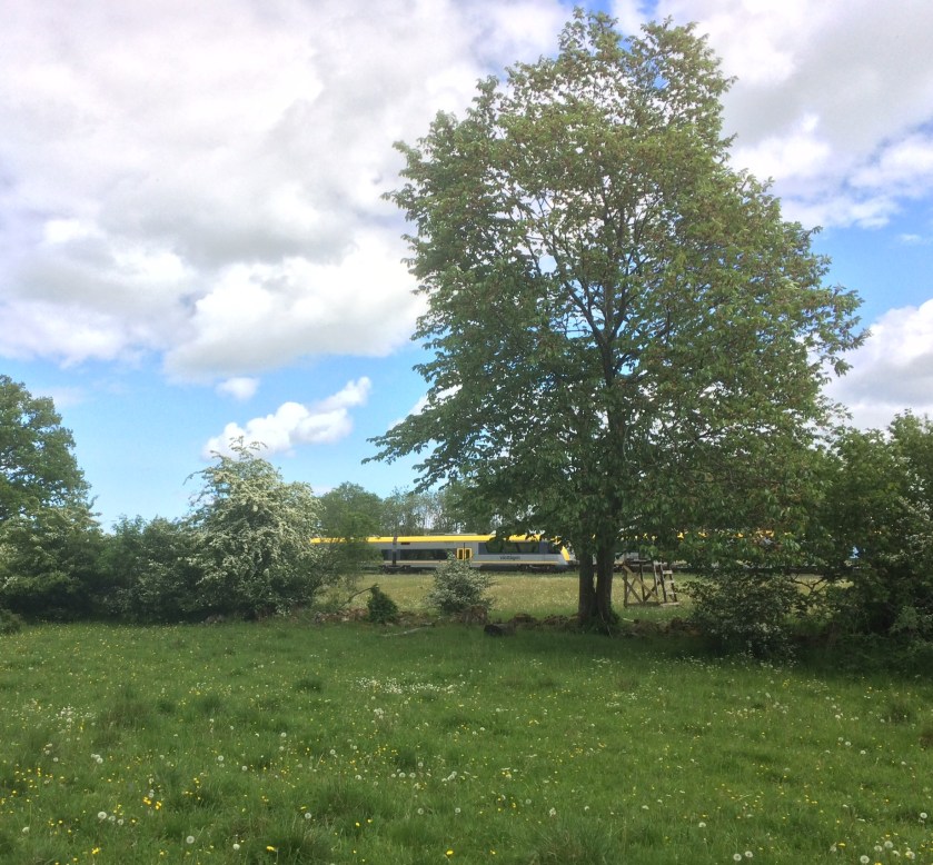 EC603819-6DA3-4BD3-AA2D-C1DBE8C898AD