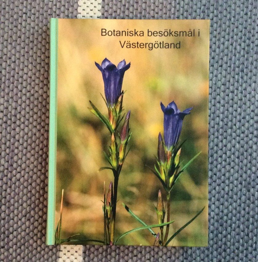 F114B2D3-2A37-44CA-A115-D7E97A6D2A1E