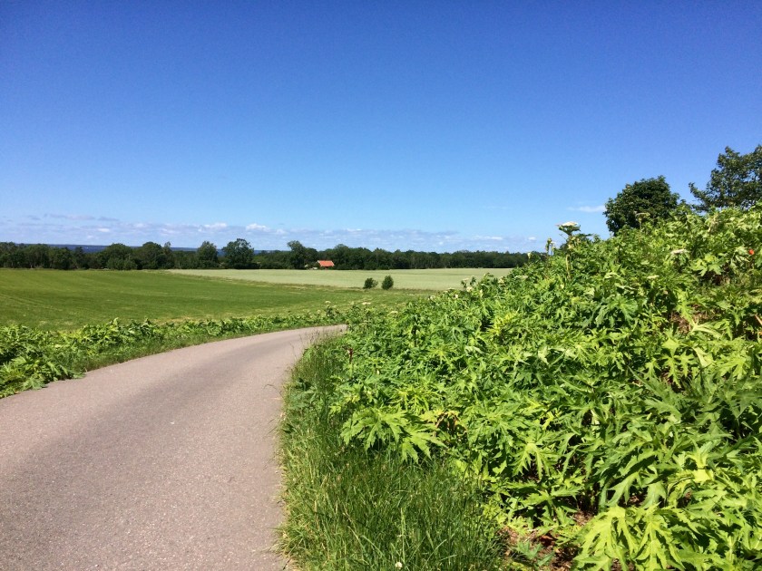 04425FF7-DFF5-4B92-B23A-827D4E0157AB